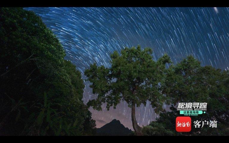 大话2免费版